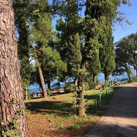 Maja Apartament Nijvice